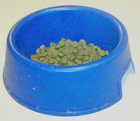 Dog Food Bowl