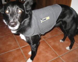 Thundershirt Review