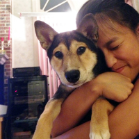 Top 5 Reasons To Adopt A Dog