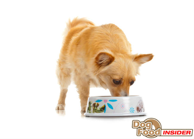 Reviewing Dog Food Blends