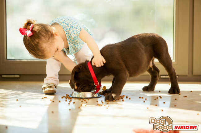 Iams Smart Puppy Feeding Chart