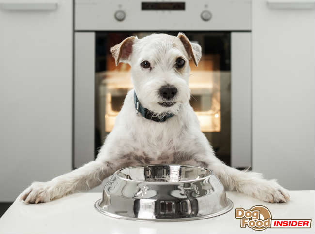 Healthiest Dog Food Facts