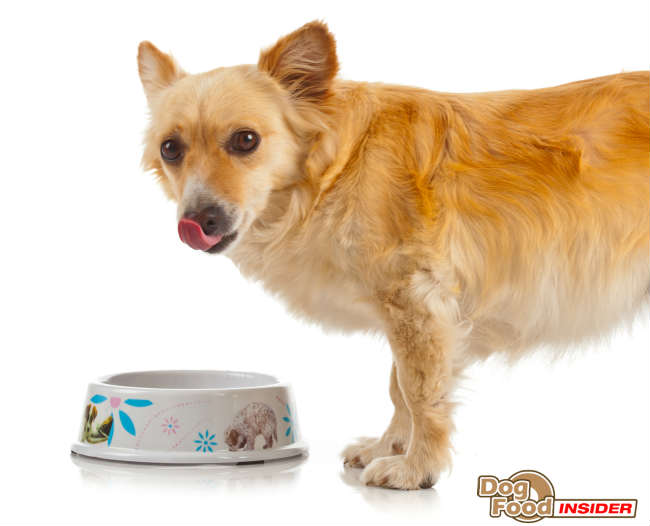 Dog Food Reviews & Ratings