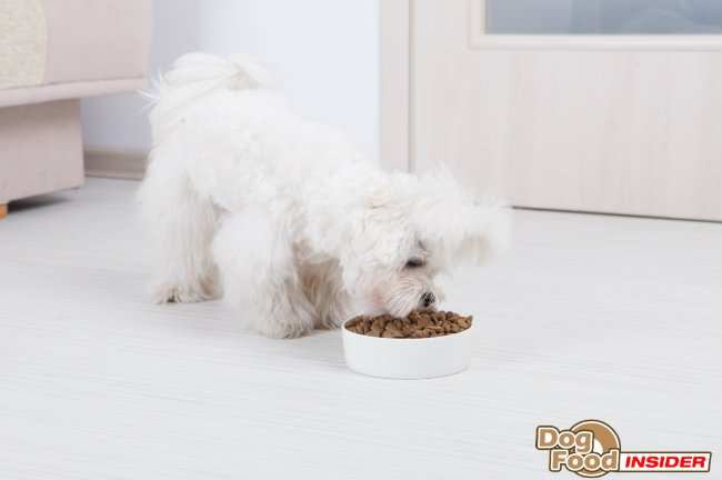 Analyzing Dog Food Ingredients