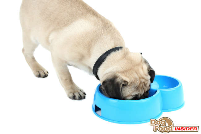 kirkland puppy food rating