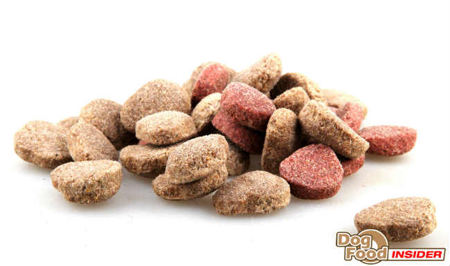 Dog Food Information