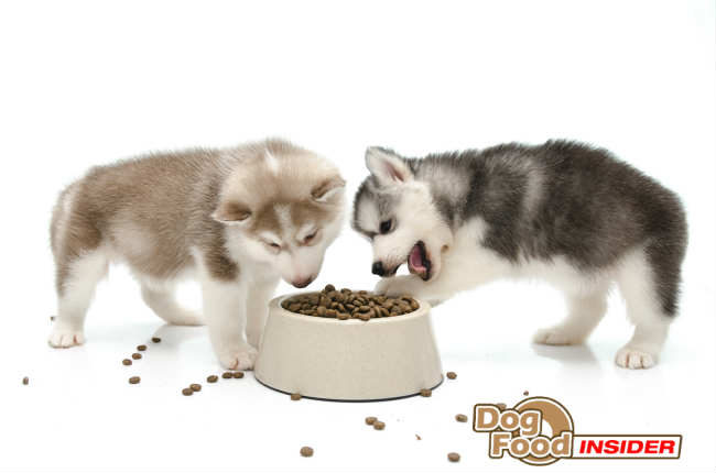 4health puppy food near me