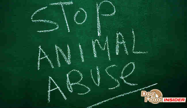 Report Animal Abuse