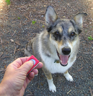 The Beginners Clicker Training Guide
