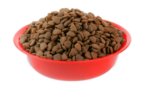Dog Food In Bowl