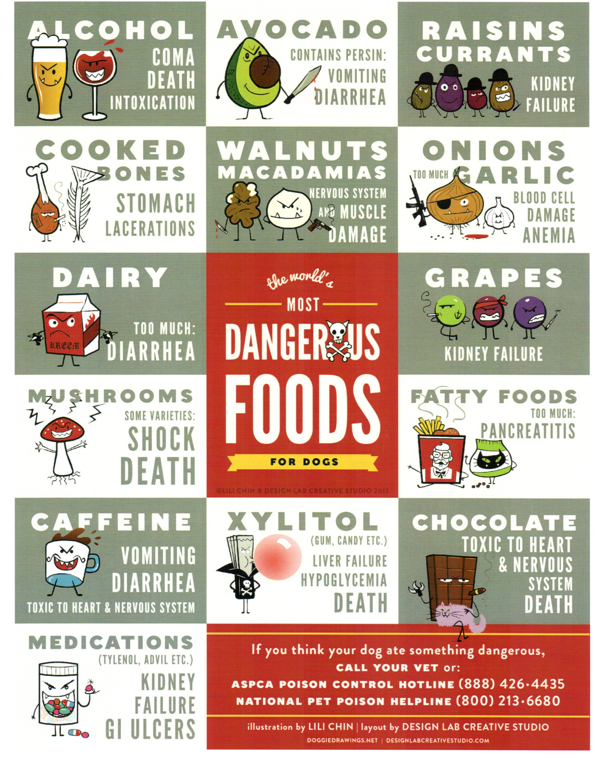 Toxic Foods For Dogs