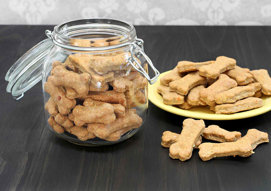 Is Homemade Dog Food Right For Your Dog?