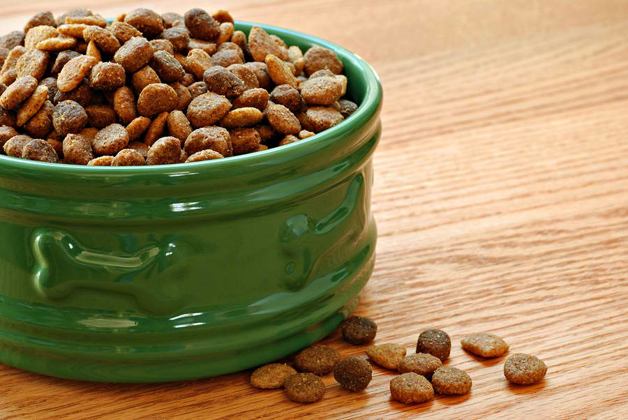 The Best Dry Dog Food For Active Dogs