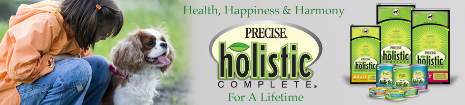 Precise Holistic