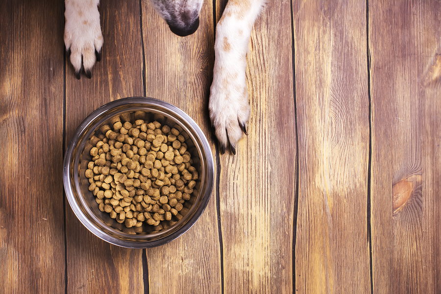 Dry Dog Food Ratings