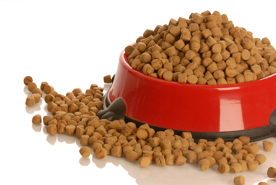 Best Dry Dog Food