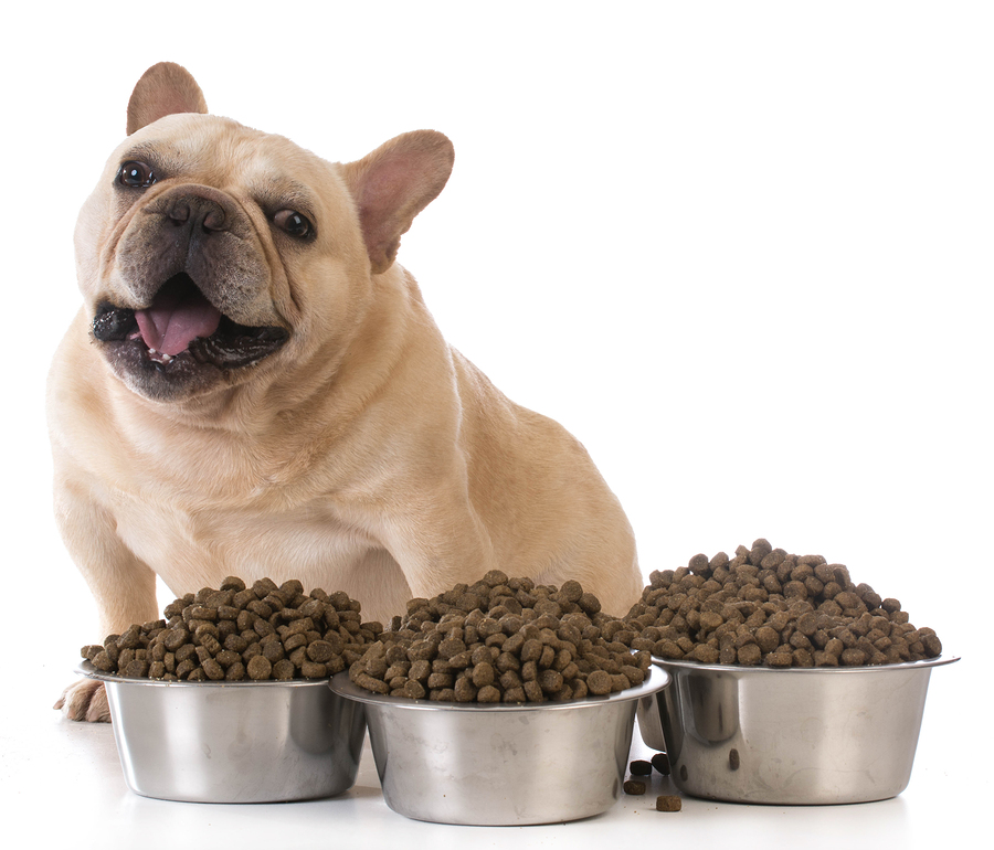 Dog Food Comparisons