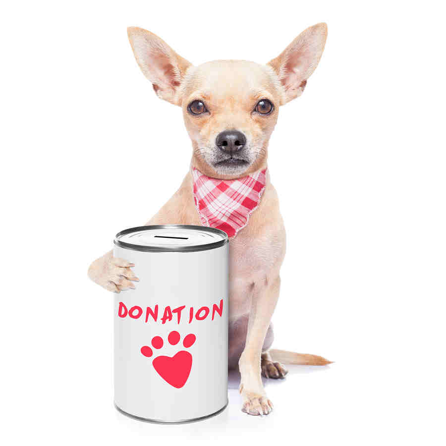 Dog Foods That Give Back