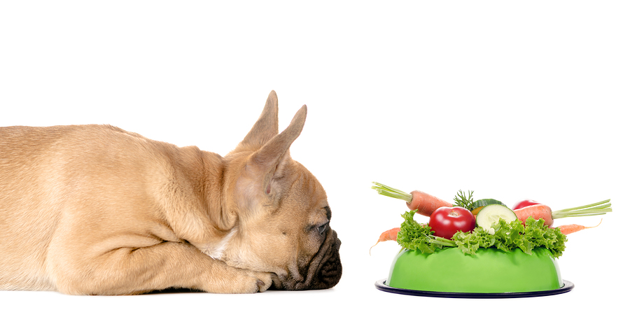 Vegetarian Diets For Dogs