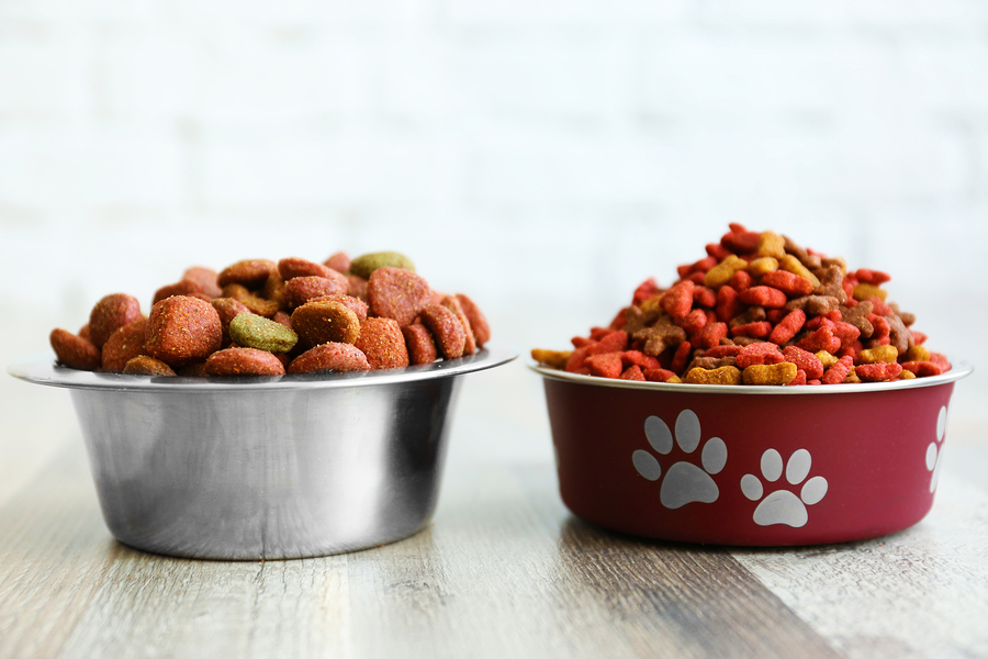 Choosing The Best Dog Food For Your Dog And Your Budget