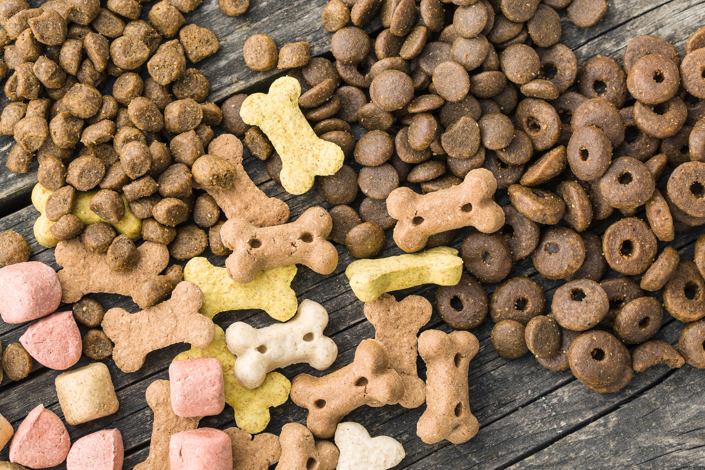 Top Rated Dog Food