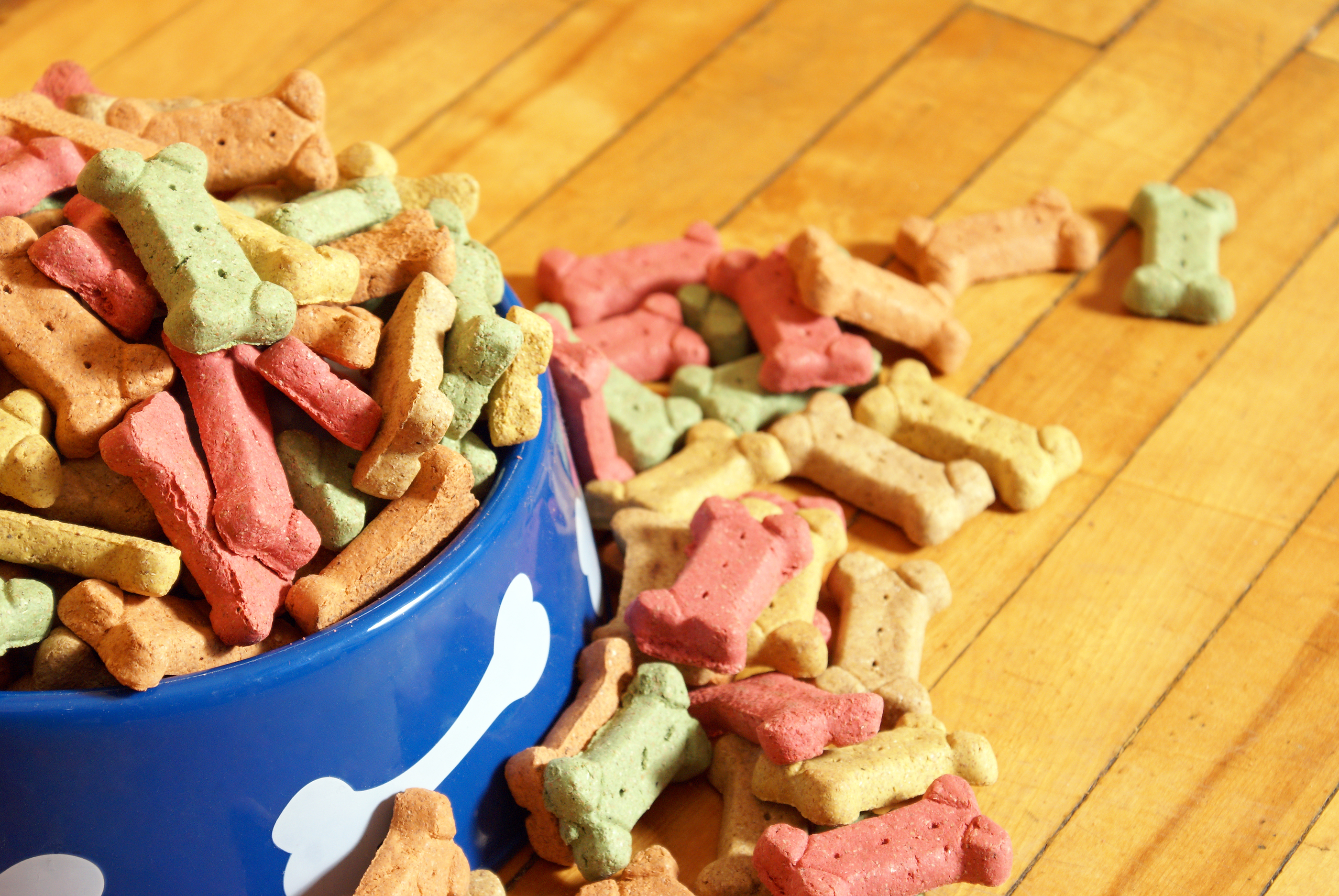 Dog Food Analysis 