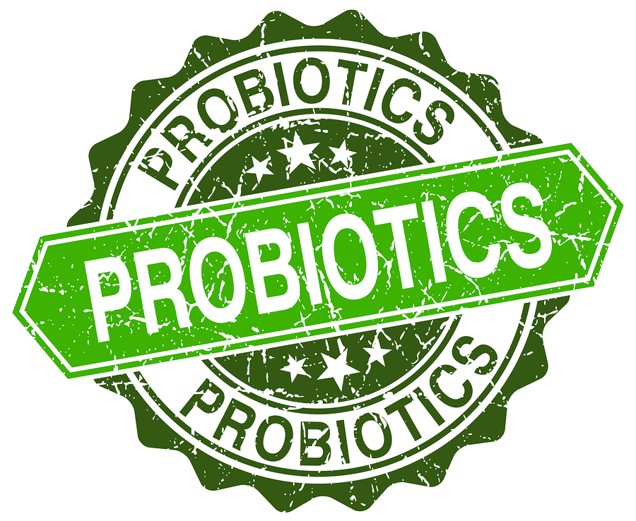 Does My Dog Need A Probiotic?