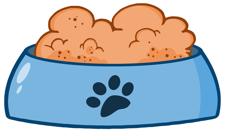 The Best Wet Food for Puppies