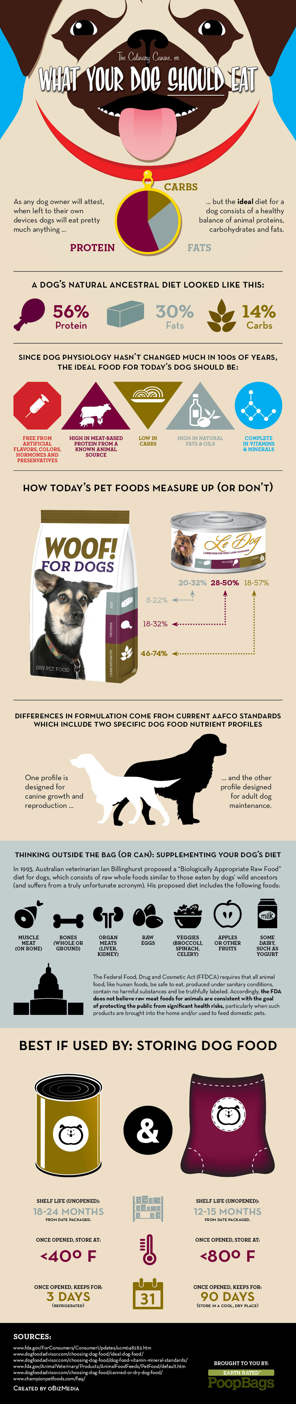 healthiest-dog-food-infographic
