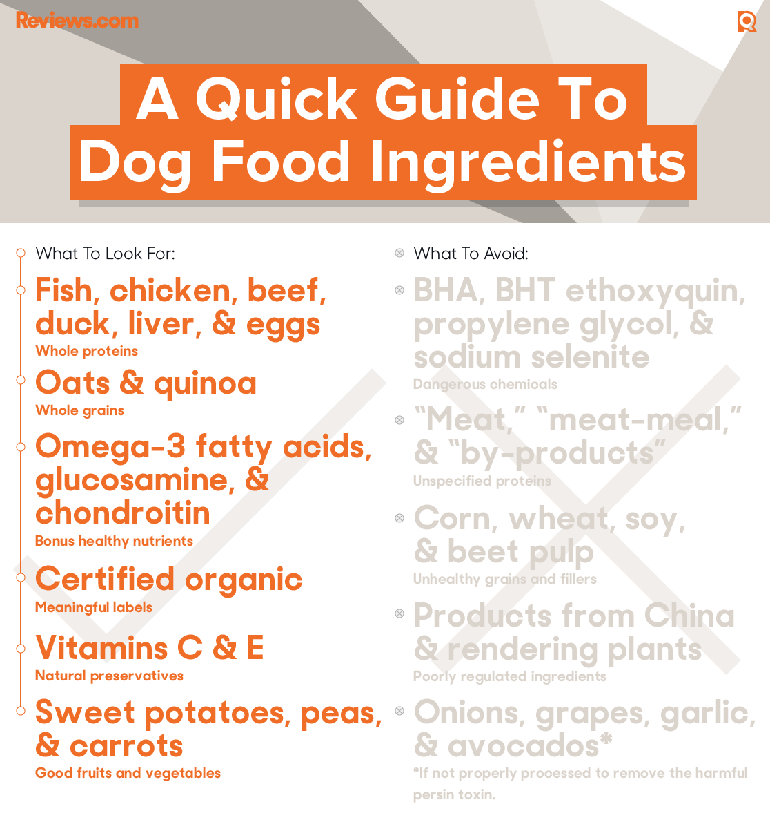 Holistic Dog Food Comparison Chart