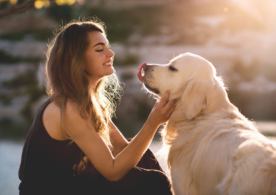 The Best Dog Supplements To Boost Immune System