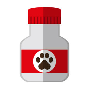 What Are Dog Supplements And Why Should I Use Them? 