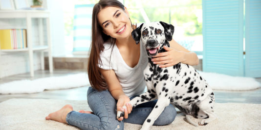 Can I Give My Dog Supplements?