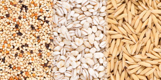 The Best Grain Free Dog Supplements to Consider